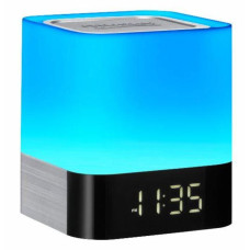 Портативная аудиосистема DEXP P260 черный Портативная аудиосистема DEXP P260 черный
