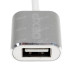 Кабель OTG DEXP USB Type-C - USB серебристый 0.1 м Кабель OTG DEXP USB Type-C - USB серебристый 0.1 м