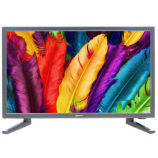 19" (48 см) Телевизор LED DEXP H19D7100E серый 19" (48 см) Телевизор LED DEXP H19D7100E серый